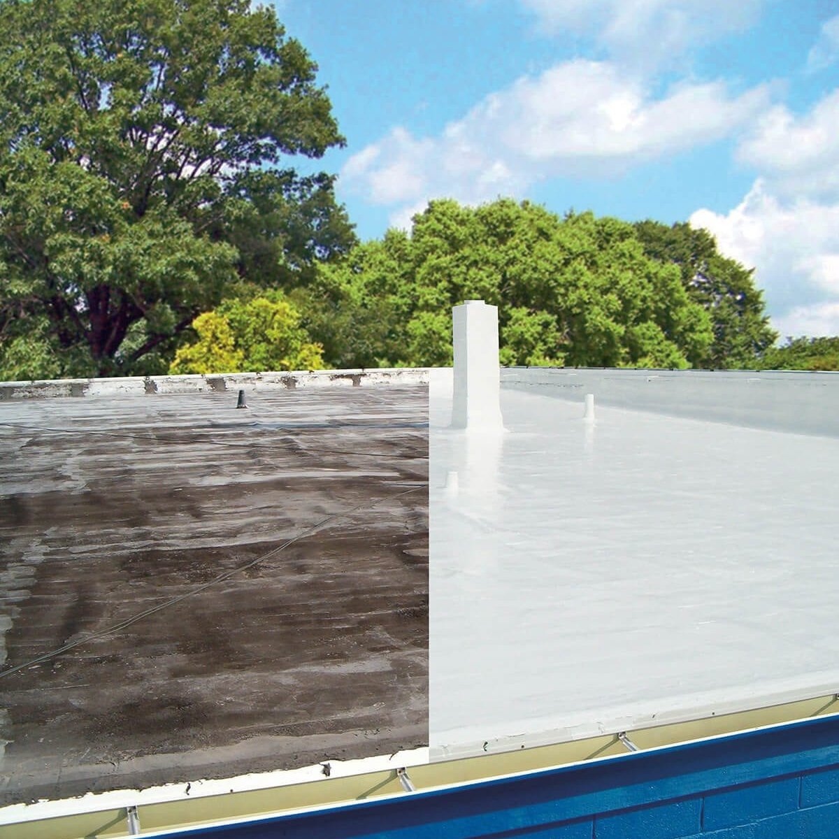 Silicone Coating Arcadia