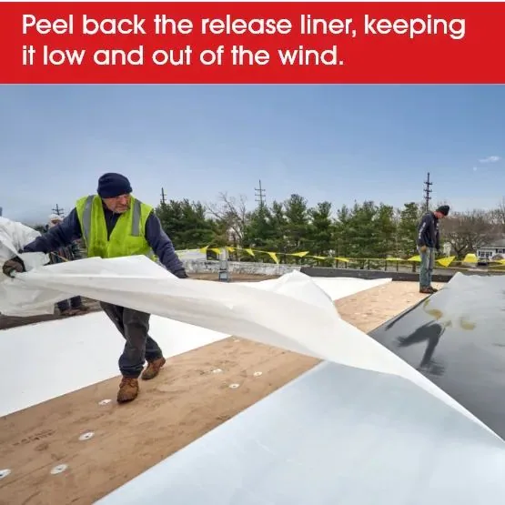 Protecting TPO From Rooftop Trades — Signs to Watch