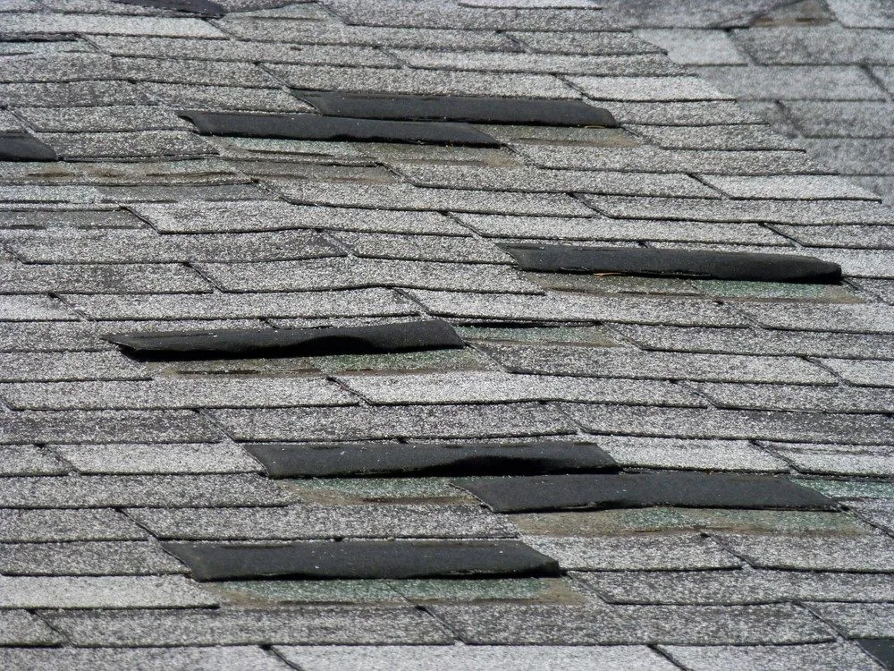 After a Studio City: Checking Your Roof