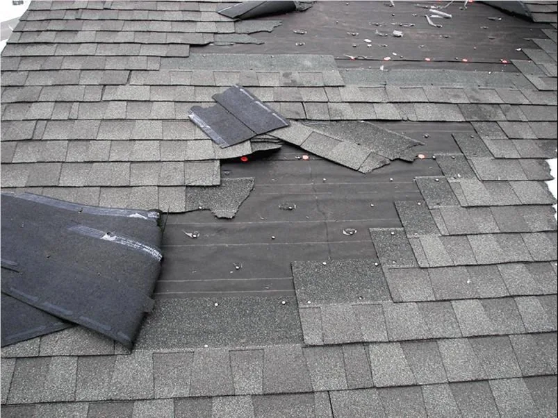 Filing a Roof Insurance Claim: What to Document — Seasonal Guide