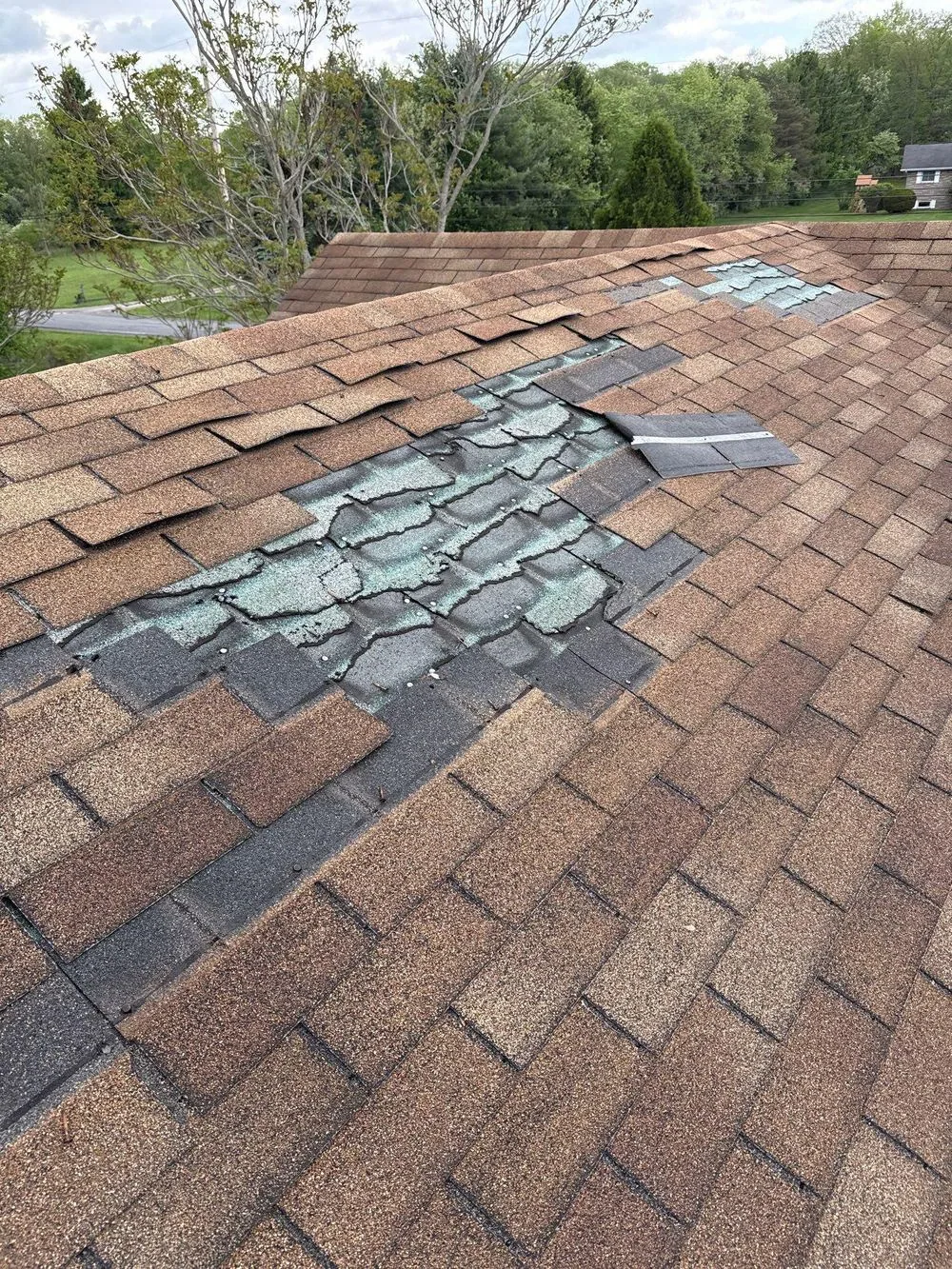 Missing Shingles — Act Now or Wait? — Homeowner Checklist
