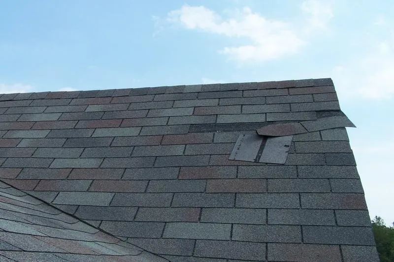 Documenting Storm Damage for a Claim in Toluca Lake (Part 2)