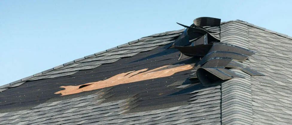 Missing Shingles — Act Now or Wait? — Quick Reference